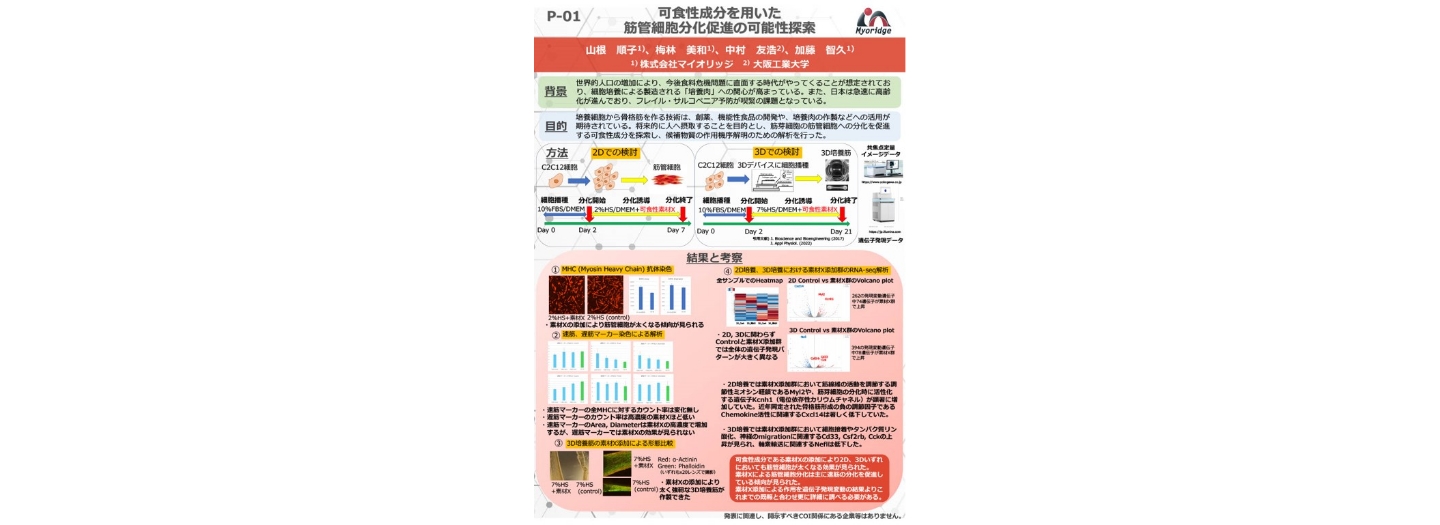 筋オルガノイドの発表報告会資料